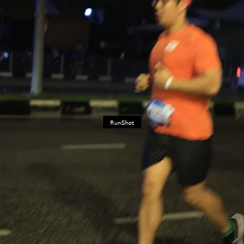 Runner Photo 7904719