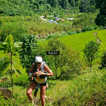 Runner Photo 79089