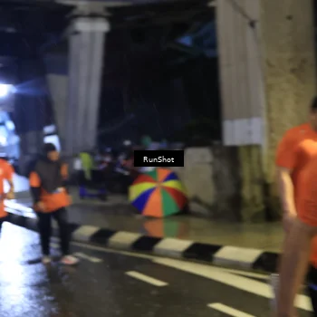 Runner Photo 7911526