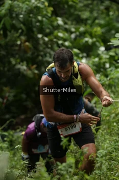 Runner Photo 79120