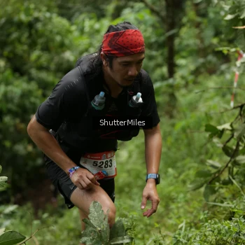 Runner Photo 79184