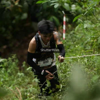 Runner Photo 79267