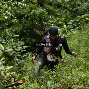 Runner Photo 79276