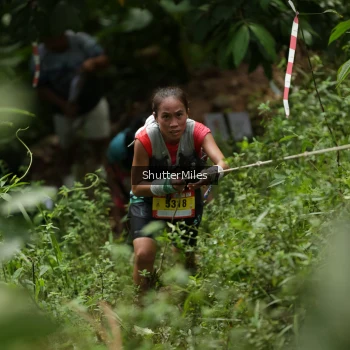Runner Photo 79314