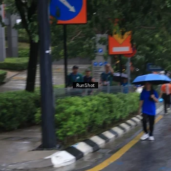 Runner Photo 7932201