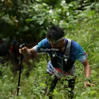 Runner Photo 79336