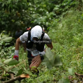 Runner Photo 79382