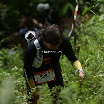 Runner Photo 79433