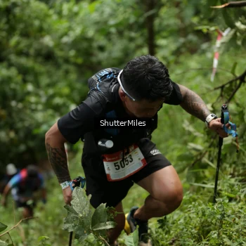 Runner Photo 79441