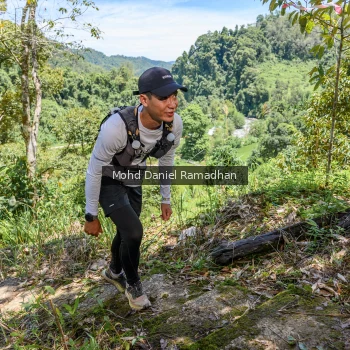 Runner Photo 79463