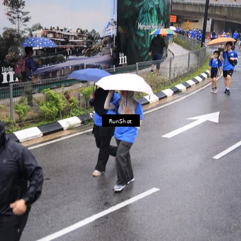Runner Photo 7950741