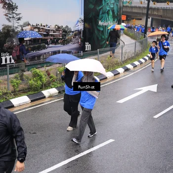Runner Photo 7950743