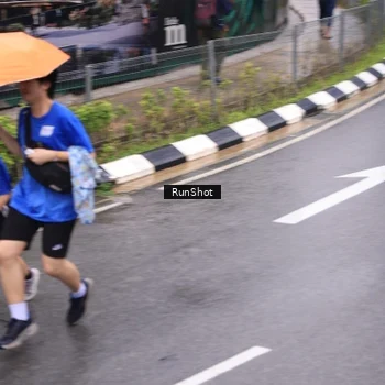 Runner Photo 7950800