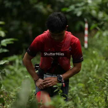 Runner Photo 79526