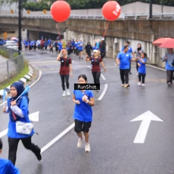 Runner Photo 7953048