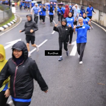 Runner Photo 7953374