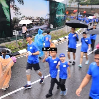 Runner Photo 7954168