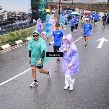 Runner Photo 7954239