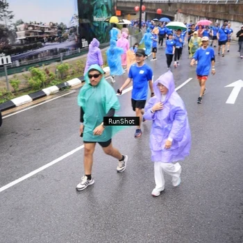 Runner Photo 7954266
