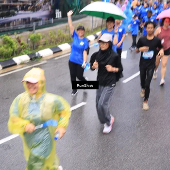 Runner Photo 7954291