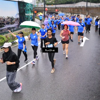 Runner Photo 7954305