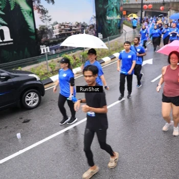 Runner Photo 7954315
