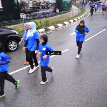 Runner Photo 7954585