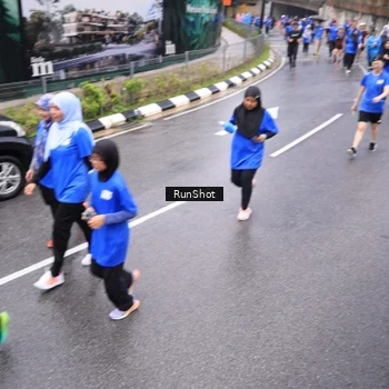 Runner Photo 7954587