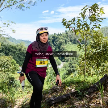 Runner Photo 79556