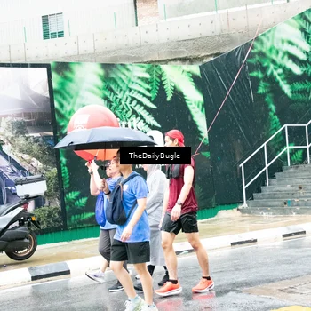 Runner Photo 7961523