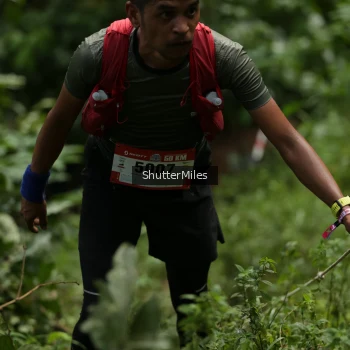 Runner Photo 79629