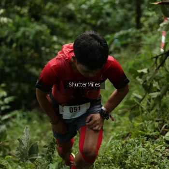 Runner Photo 79646