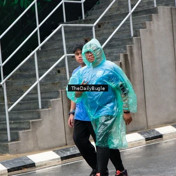 Runner Photo 7965398