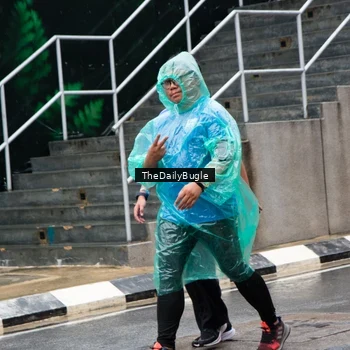 Runner Photo 7965406