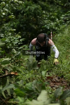 Runner Photo 79767