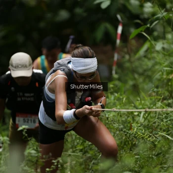 Runner Photo 79813