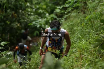 Runner Photo 79831