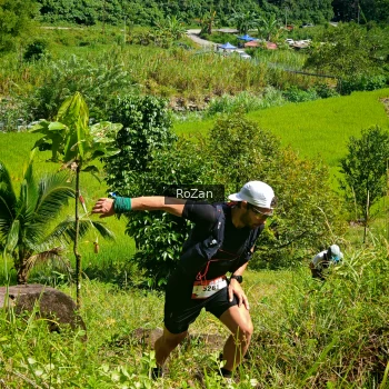 Runner Photo 79922