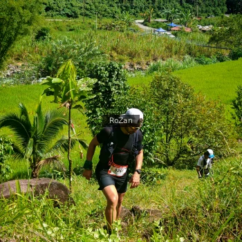 Runner Photo 79923