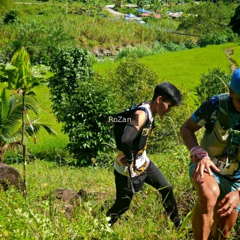 Runner Photo 79960