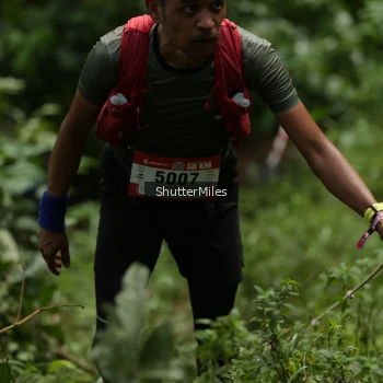 Runner Photo 79981
