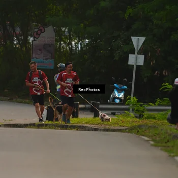 Runner Photo 8004105