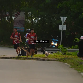 Runner Photo 8004107