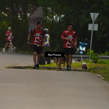 Runner Photo 8004110