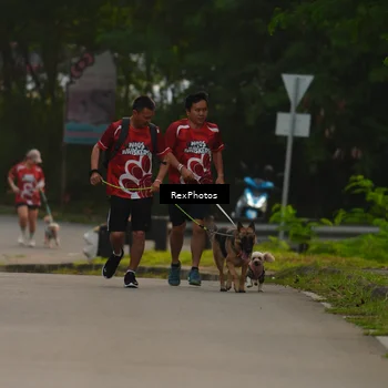 Runner Photo 8004112