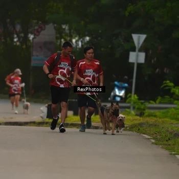 Runner Photo 8004113