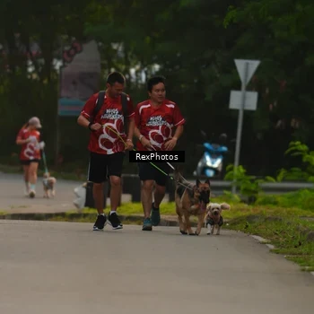 Runner Photo 8004114