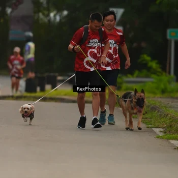 Runner Photo 8004115