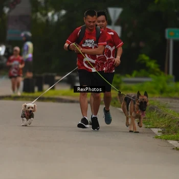 Runner Photo 8004116