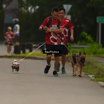 Runner Photo 8004117